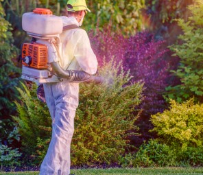 National Pest Expert technician spraying backyard in Halesite for Mosquitoes and Gnats.