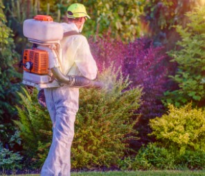 National Pest Expert technician spraying yard for mosquitoes and other biting insects like gnats and flies