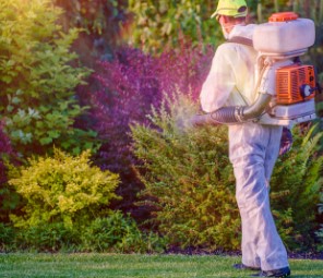 National Pest Experts provides immediate exterminating and pest control services in Smithtown, NY for all your unwanted insects and rodent problems.