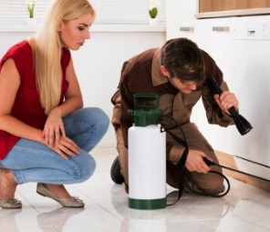 Bethpage, NY Exterminating Service. National Pest Experts is your one stop shop for insect and rodent control in Bethpage. We offer everything from single applications, seasonal treatments, and year round exterminating for homeowners and businesses of all types.