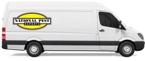 Nation Pest Expert's service truck providing pest control and exterminating services throughout our Long Island